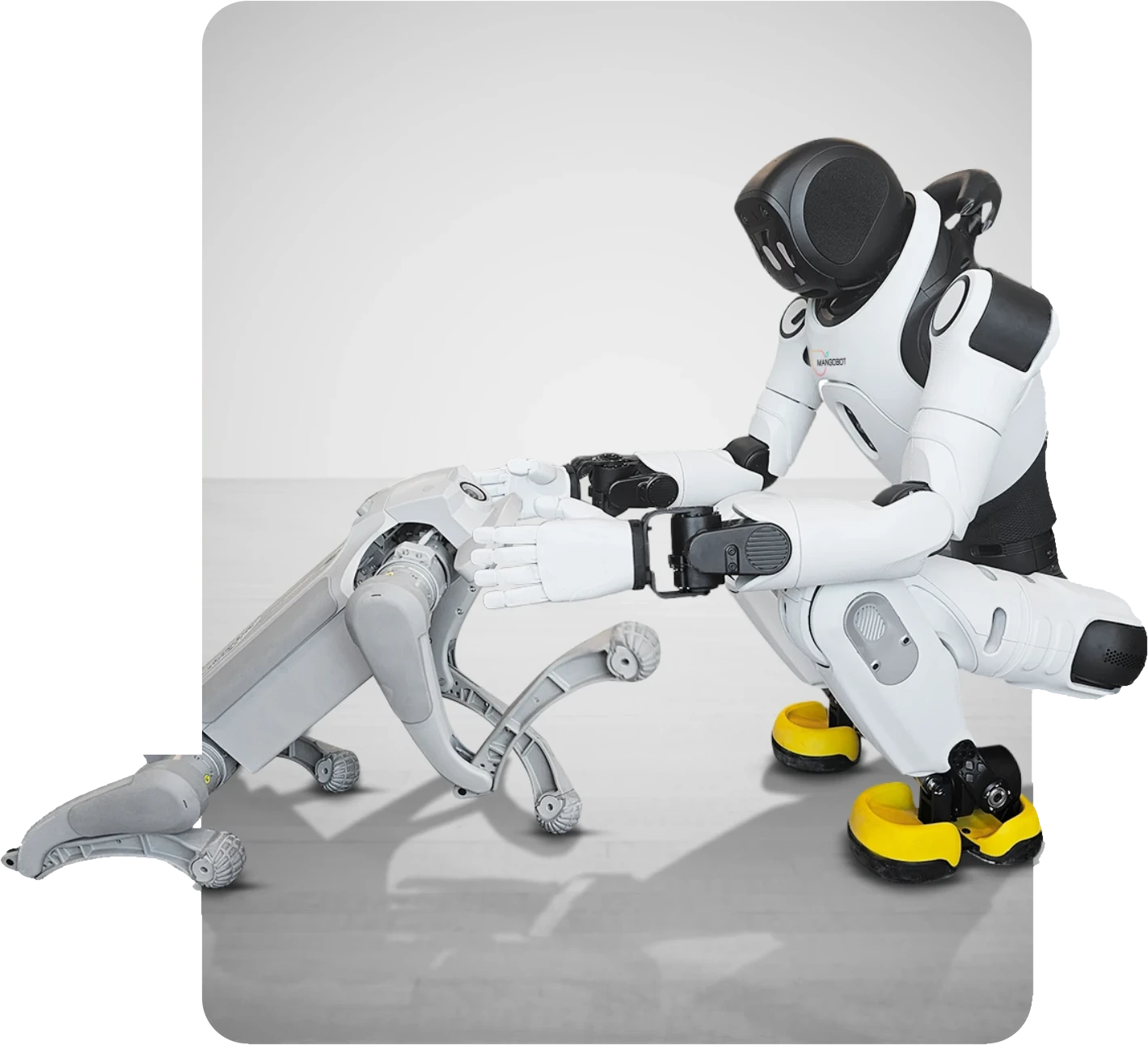 A Mangobot humanoid robot reaching out to a Mangobot robot dog